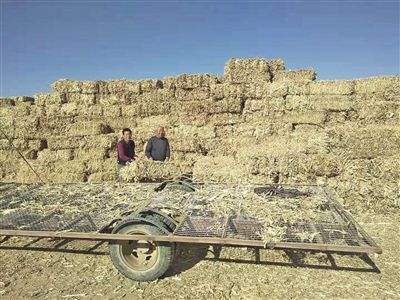 20201118095100734.jpg 5483660885533790277.jpg