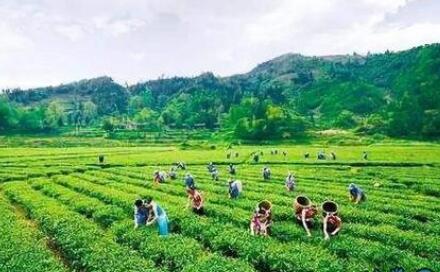 河南省首個水土保持與碳過程科教融匯試驗(yàn)基地揭牌