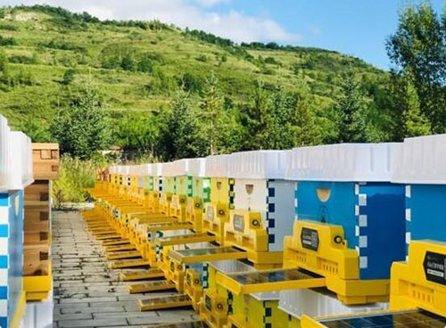 20201207120512522.jpg 2.jpg