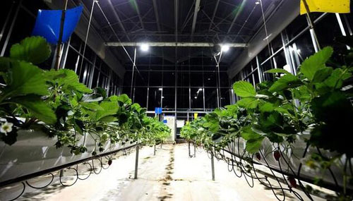 20201207120524239.jpg 3.jpg