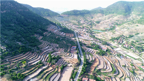 桃棵子村：“紅色旅游”引領(lǐng)村民走上致富路