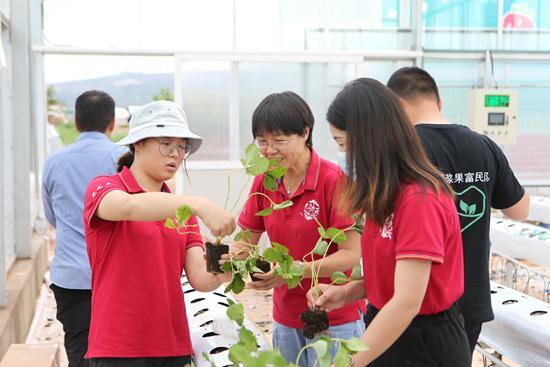 20201217093934929.jpeg 08f790529822720e0f4f7bd8ab85ca41f31fabe1.jpeg