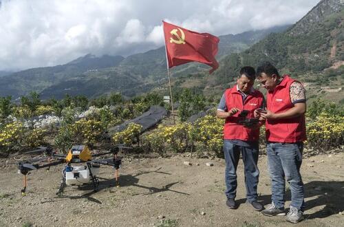 石頭山變身“花果山”，拼多多助力“三區(qū)三州”數(shù)字農(nóng)業(yè)發(fā)展