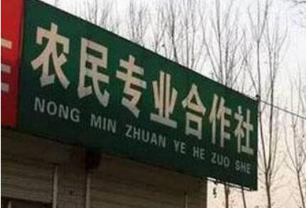 河南：鼓勵農(nóng)民合作社采取出資新設(shè)、收購或入股等形式辦公司