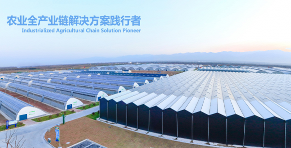 農(nóng)業(yè)產(chǎn)業(yè)化發(fā)展還有多長的路要走？