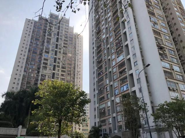 30萬/平米？天價(jià)學(xué)區(qū)房驚現(xiàn)深圳 一棟樓“市價(jià)”超半數(shù)A股公司