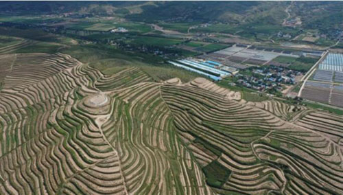 20210115120305121.jpg 2.jpg