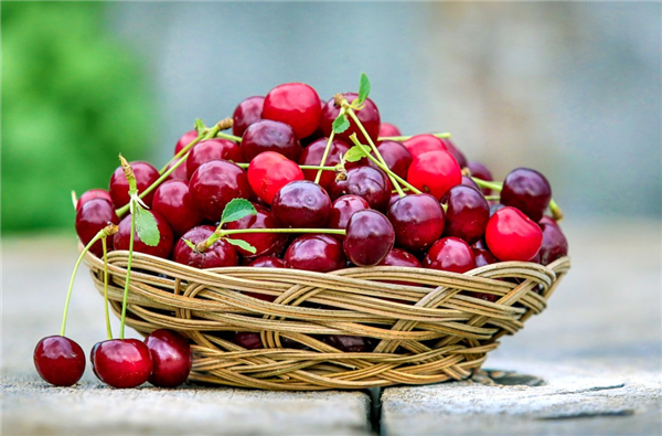 吳尊友回應(yīng)車?yán)遄拥冗M(jìn)口水果怎么吃：注意手衛(wèi)生、吃前流水清洗