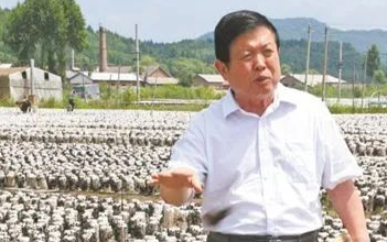 小蘑菇為何能撐起大產(chǎn)業(yè)？李玉院士告訴你