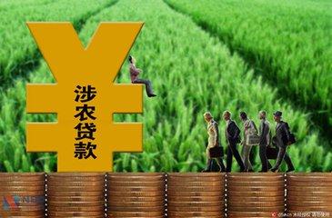 2024年末全國普惠型涉農(nóng)貸款余額同比增長14.4%