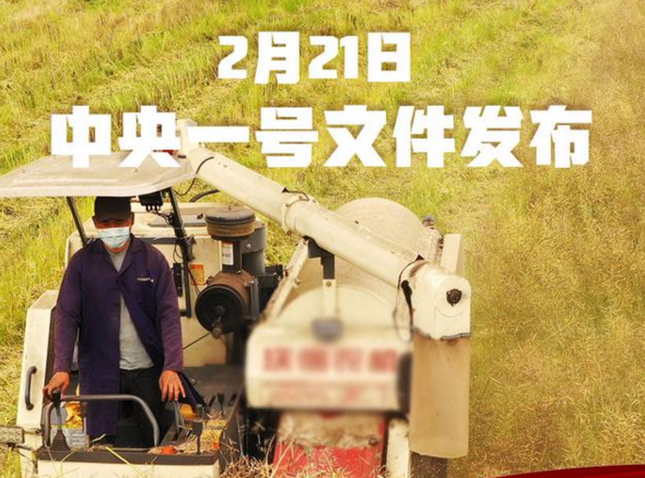 超重磅！2021年中央一號文件發(fā)布 關(guān)乎所有農(nóng)產(chǎn)品！