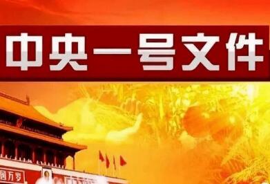 2021年中央一號(hào)文件：全面推進(jìn)鄉(xiāng)村振興