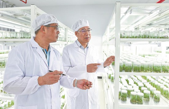 20210224110910386.jpg 5163496379235657203.jpg