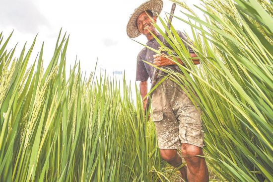 20210224110920386.jpg 14487209786986411776.jpg