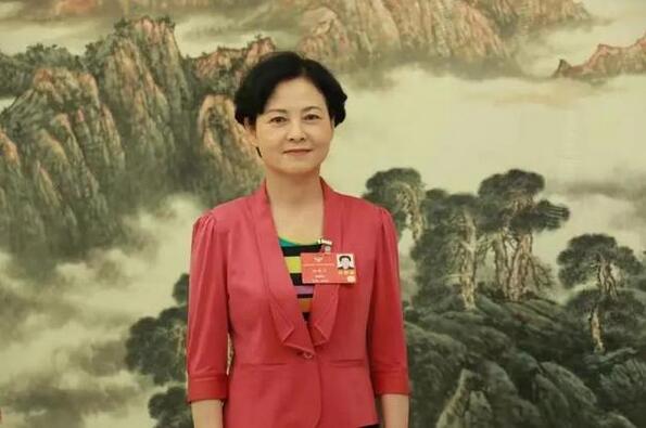 全國政協(xié)委員徐曉蘭：利用工業(yè)互聯(lián)網(wǎng)大數(shù)據(jù)中心“強(qiáng)鏈”“補(bǔ)鏈”