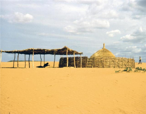 20210317100559855.jpg d62a6059252dd42a34f696a063666fbdc8eab8a7.jpg