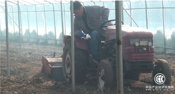 恒運(yùn)能源集團(tuán)旗下農(nóng)業(yè)產(chǎn)業(yè)清洋湖蔬菜大棚正式運(yùn)營