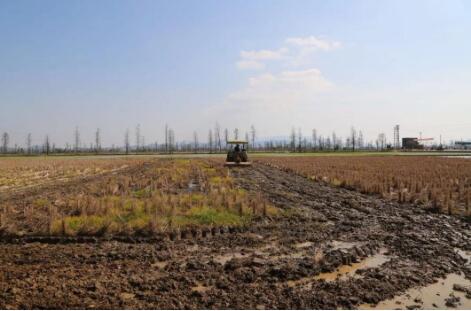 內蒙古5家單位入選首批農業(yè)高質量發(fā)展標準化示范項目創(chuàng)建名單