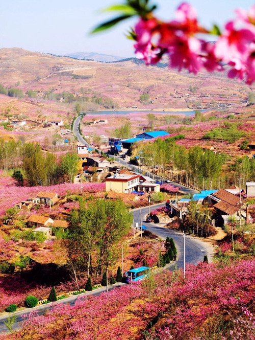 ?岱崮地貌第十六屆桃花旅游文化節(jié)之臨沂市首屆美麗岱崮攝影大賽正式啟動