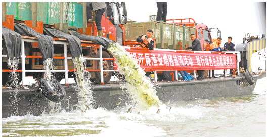 山東：南四湖人工增殖補魚220萬尾