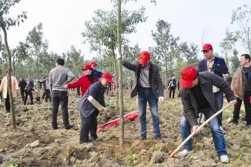 不斷凝聚起國土綠化的全民力量——全民義務(wù)植樹運(yùn)動40周年綜述