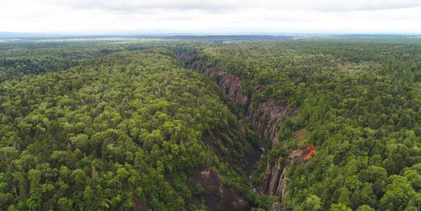 黑龍江省3家林場(chǎng)入選“全國(guó)十佳”