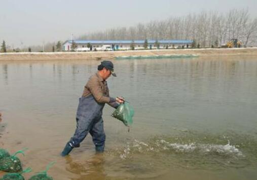 最高100萬！福建148個鄉(xiāng)鎮(zhèn)獲獎補