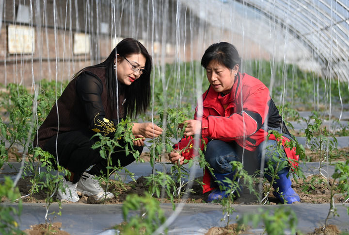 20210415105240244.jpg 20210415105240244.jpg