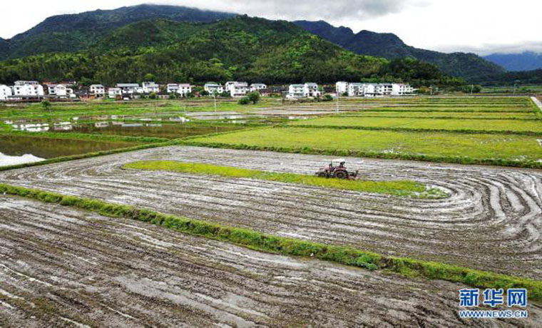 福建武夷山：產業(yè)依托 文旅賦能 促進鄉(xiāng)村振興