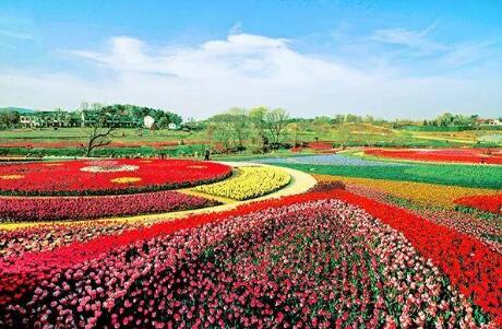 農(nóng)業(yè)農(nóng)村部發(fā)布60條春季精品線路、189個(gè)精品景點(diǎn)