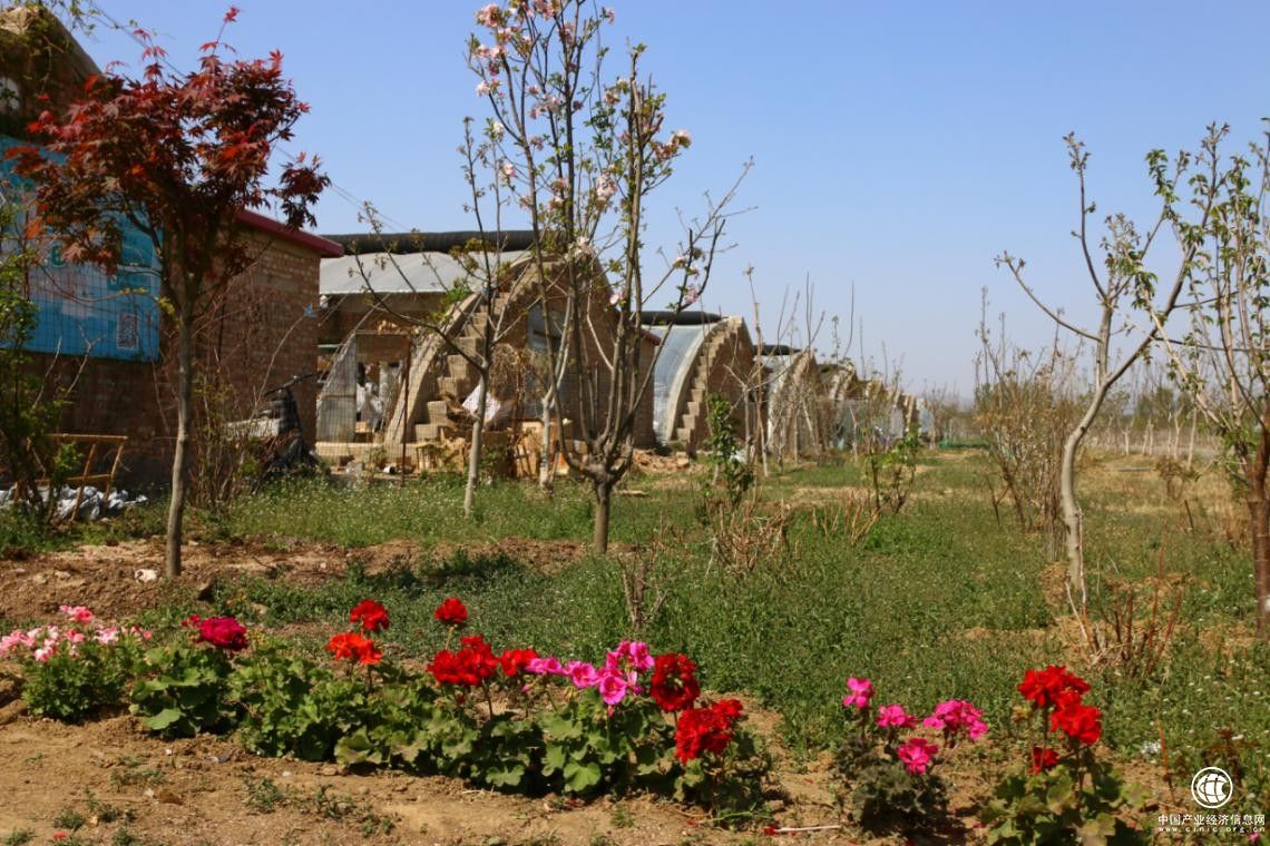 村莊里的“花草之都”怎樣做深“花草”文章 ——綠京華科研生產基地