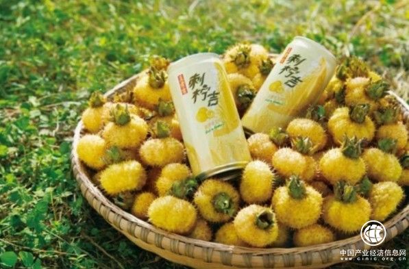 廣藥集團(tuán)對口幫扶貴州刺梨產(chǎn)業(yè)，受益刺梨農(nóng)戶超21.7萬人