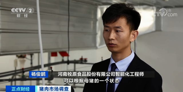 跌破15元！豬肉價格坐“滑梯”，創(chuàng)19個月新低！未來價格怎么走？