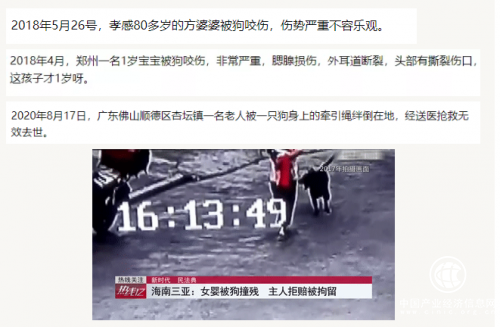 小視科技首發(fā)，遛狗不牽繩算法|5月1日起該行為違法