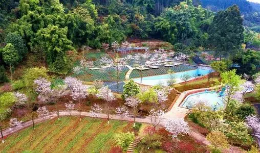 夜游、酒店宅……旅游新場(chǎng)景激發(fā)消費(fèi)潛力