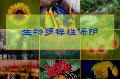 我國生物多樣性保護取得積極進展