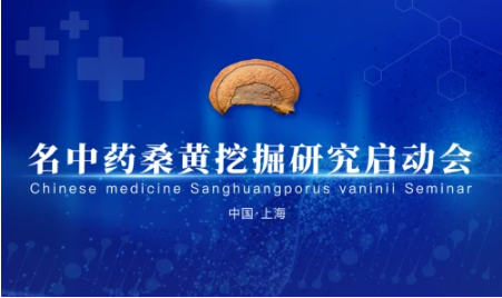 傳承精華 振興國藥 - 名中藥桑黃挖掘研究啟動會圓滿召開