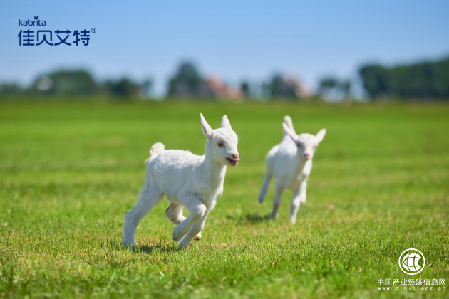 羊奶粉好在哪？領(lǐng)軍企業(yè)佳貝艾特告訴你答案