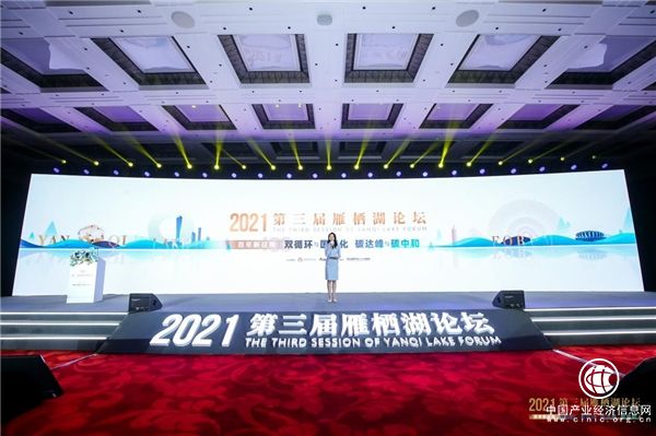 “百年新征程——雙循環(huán)與國(guó)際化，碳達(dá)峰與碳中和”，第三屆雁棲湖論壇圓滿舉行