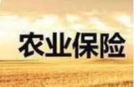 財(cái)政部：壓實(shí)承保機(jī)構(gòu)責(zé)任，保障農(nóng)業(yè)保險(xiǎn)政策順利實(shí)施