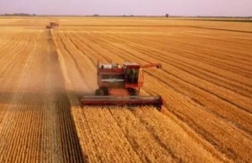 14582萬噸！全國夏糧總產(chǎn)量再創(chuàng)歷史新高