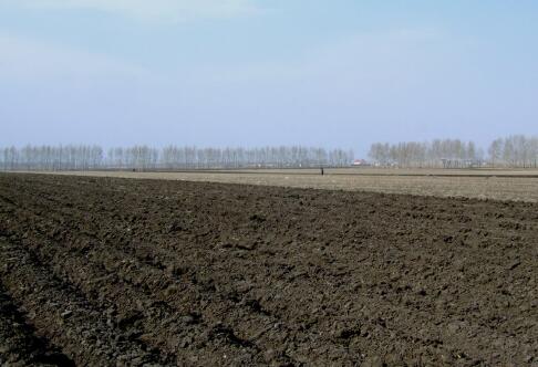 能攥出“油”的黑土地如何“用好養(yǎng)好”？