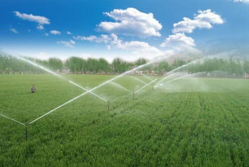 農業(yè)節(jié)水潛力有多大？面臨哪些困難？