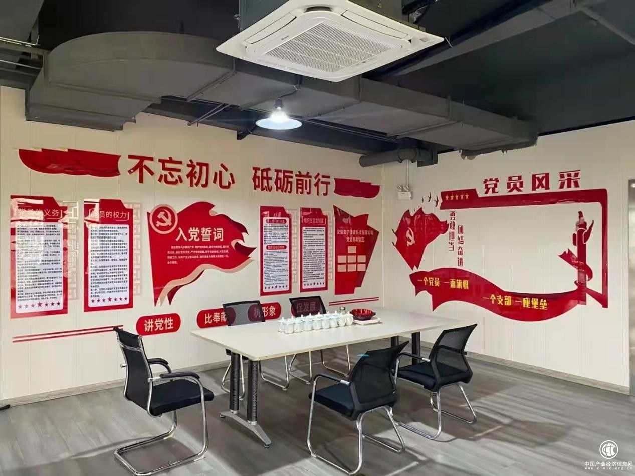 不忘初心，砥礪前行：安徽盒子健康科技有限公司黨支部正式成立