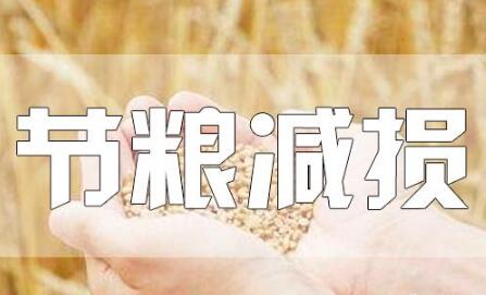 糧食豐收后，如何再增產(chǎn)？節(jié)糧減損可再造“無(wú)形良田”