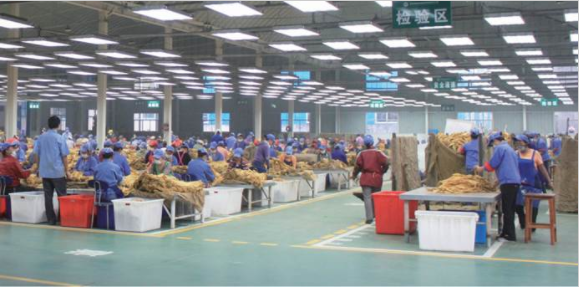 湖南中煙：“造血式”幫扶助力鄉(xiāng)村換新顏