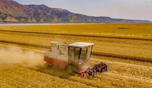 河南省秋作物已收獲9354萬(wàn)畝，進(jìn)度接近八成