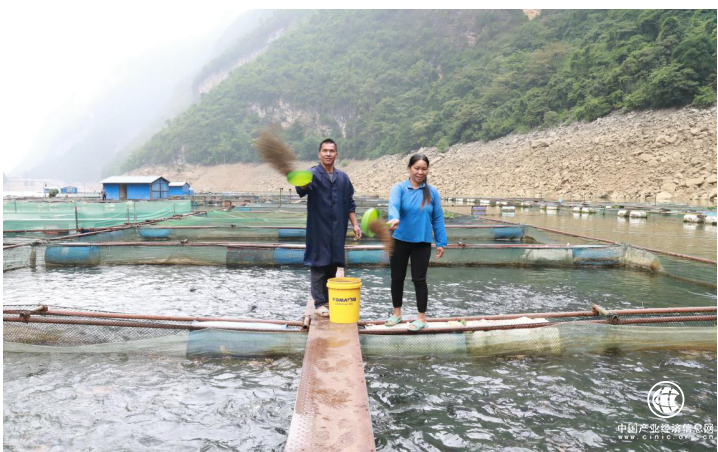 中和農(nóng)信 ：扎根邊疆助振興，普惠金融促共富