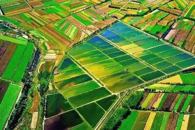 重慶今年起開(kāi)展高標(biāo)準(zhǔn)農(nóng)田新增耕地指標(biāo)交易