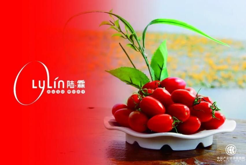 陸霖?cái)?shù)字科技：一顆小番茄，品味大不同